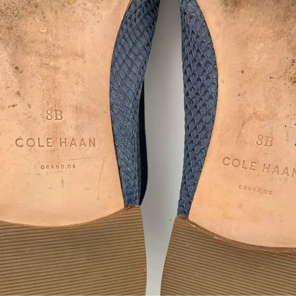 Cole Haan Sarina Blue Leather Embossed Snake Reptile Ballet Flats 8B